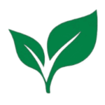 Herbal Shopy – India’s Trusted Destination for Ayurvedic & Herbal Wellness